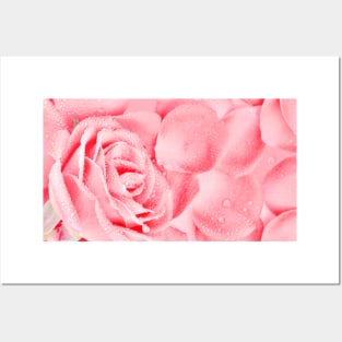 Rose Flower Petals Posters and Art